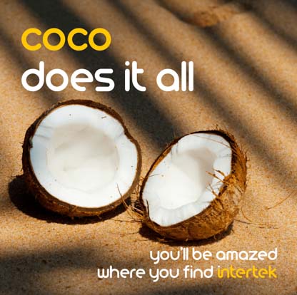 A cracked open coconut in the sand