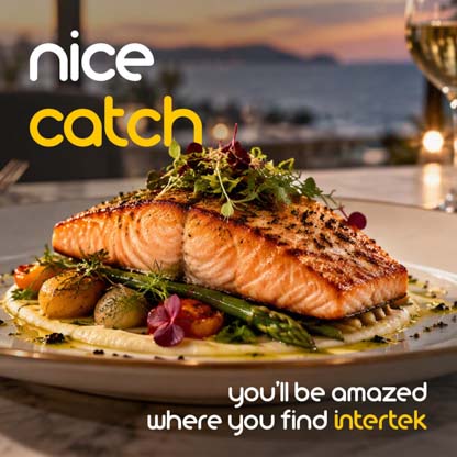 A prepared salmon plate