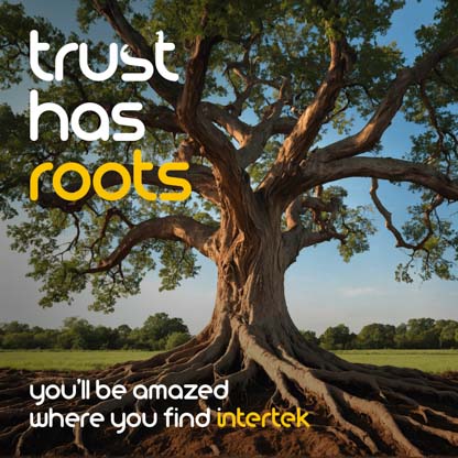 A large tree with exposed roots